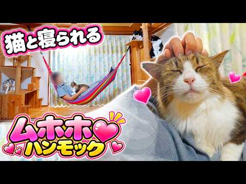 猫と一緒に寝られるハンモックを作ったらムホホ💓すぎた