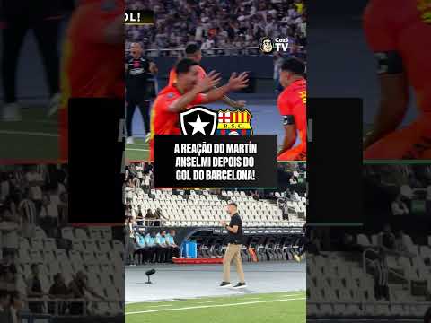 A REAÇÃO DO ANSELMI É A REAÇÃO DE TODO TORCEDOR DO BOTAFOGO... A SITUÇÃO É DELICADA! 🫠🫥