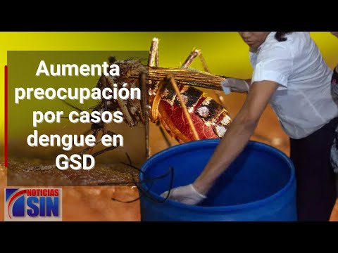 Aumenta preocupación por casos dengue en GSD