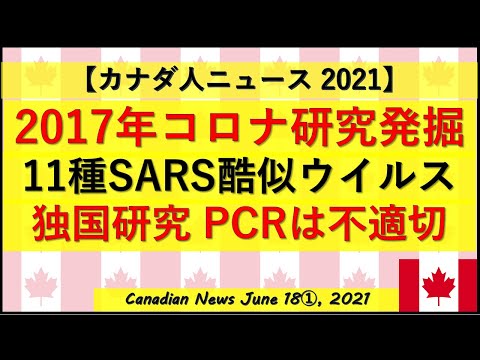 2017年コロナ研究発掘　11種のSARS酷似ウイルス　ドイツ研究PCR