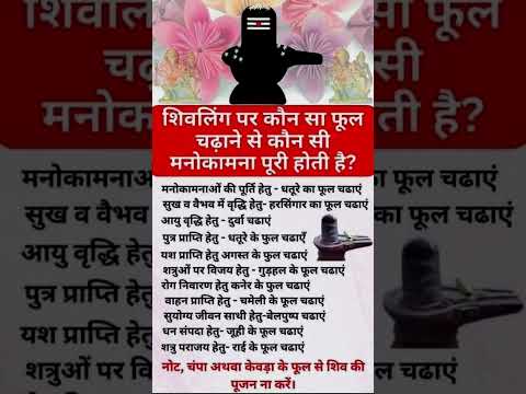 भगवान शिव जी🌸 फूल: धतूरा, आक, सफेद कनेर या बेलपत्र🌿 फायदा: मन की शांति, रोगों से मुक्ति #motivation