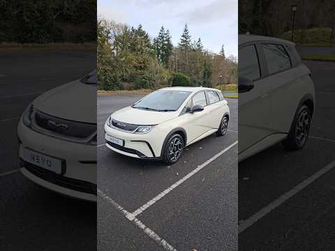 BYD Dolphin #shorts #electriccars #byd #byddolphin