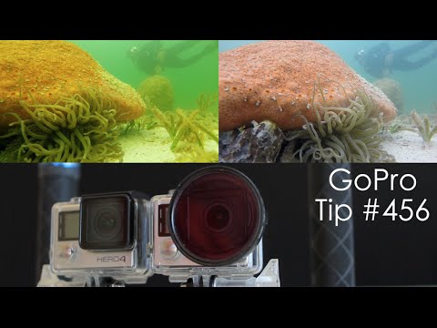 Green Water Underwater Comparison with Magenta Filter - GoPro Tip #456 - UCTs-d2DgyuJVRICivxe2Ktg