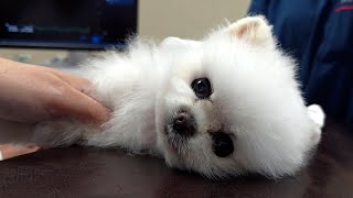 動画サムネイル