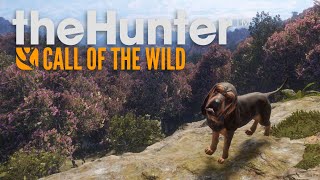 【🔴Gaming】theHunter: Call of the Wild เดินเล่น DLC ใหม่ Alberta Preserv