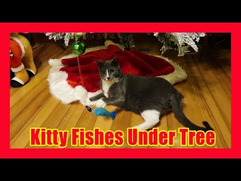 Meesha the Kitty Cat Fishes Underneath the Christmas Tree