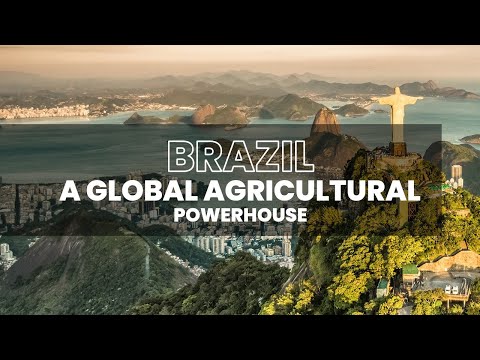 Brazil - Agricultural Innovations