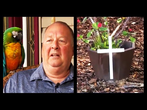 Man Battles Town Over 12-Inch Cross, DESTROYS Them