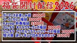 【開封配信】秋葉&新宿で買ったグッズ系&カレー福袋6個を一気に開封！