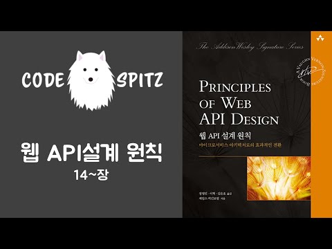 웹 API 설계 원칙 #5 (14장~)