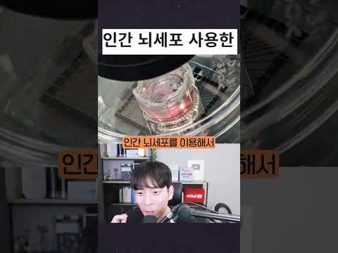 인간 뇌세포를 사용한 바이오 컴퓨터 출시 #shorts