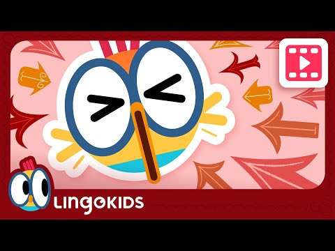 CARTOONS FOR KIDS | Giving DIRECTIONS ⬆️⬇️| Lingokids