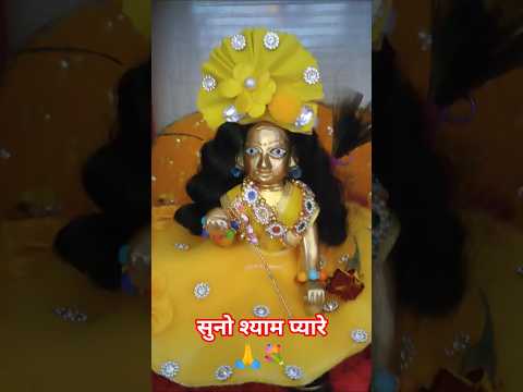 सुनो श्याम प्यारे🙏💐 #song #shyam #laddugopalstatus #laddugopal #laddu #krishna #shyamkripa #bhajan