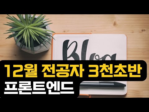 12월 전공자 3천초반 프론트엔드