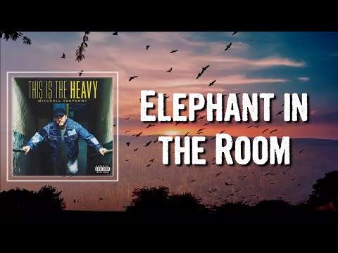 Elephant in the Room Lyrics - Mitchell Tenpenny