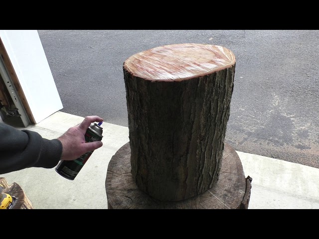 How to Preserve a Tree Stump
