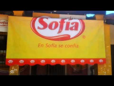 Hotel La Casona y Pollos Sofia
