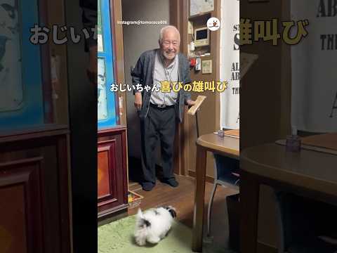 猫の動画サムネイル - おじいちゃんに内緒で、わんこを迎えた結果｜PECO #shorts