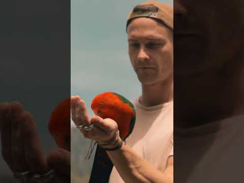 Australian road trips are just too fun (: #filmmaking #aftereffects #vfx #transition #davinciresolve