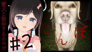 【たんぼ】台風が過ぎ去った夏の夜に愛犬のぼんたとたんぼを散歩する＃ 2【ホラーゲーム/＃のんなま】