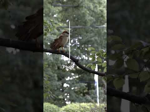 Always The Best CGI at Incredimate.
.
.
#ArtOfCGI #CinematicVisuals #3DArtists #UnrealVisuals #Anima