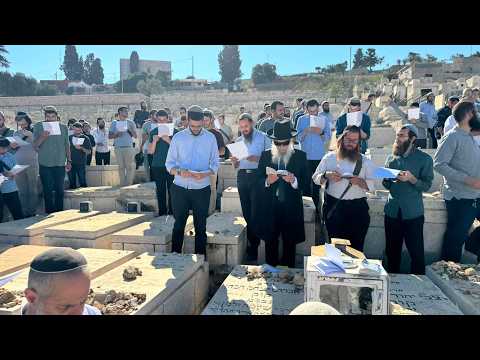 בין הר הזיתים להר הבית: מאות תלמידים פקדו את ציונו של הרב קוק ביום ג' באלול