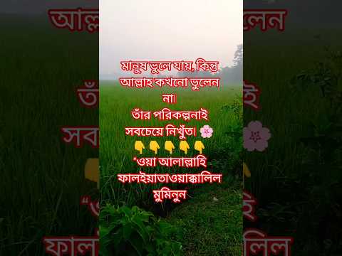 তুমি কি আল্লাহর উপর পুরোপুরি ভরসা করো? #ভরসা #আল্লাহ #দোয়া #shortvideo #motivation #dailyvlog