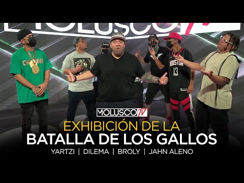 BATALLA DE LOS GALLOS EN PR?? YARTZI y DILEMA vs BROLY y JHAN ALENO. JURADO “LINK ONE”