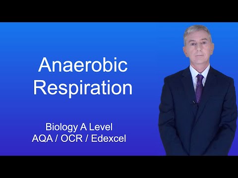 A Level Biology Revision “Anaerobic Respiration”