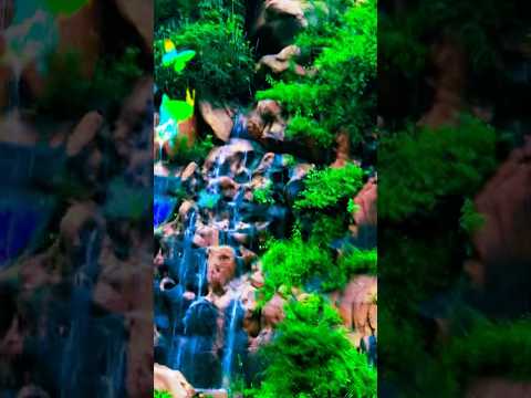 पहाड़ी इलाक़ा बहुत सुंदर नजारापहाड़ियाँ हाई#music #coversong #song #singer #guitar