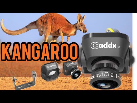 Caddx Kangaroo - 1000TVL FPV camera nano cam and comparison to Runcam Nano 2 - UCTSwnx263IQ0_7ZFVES_Ppw