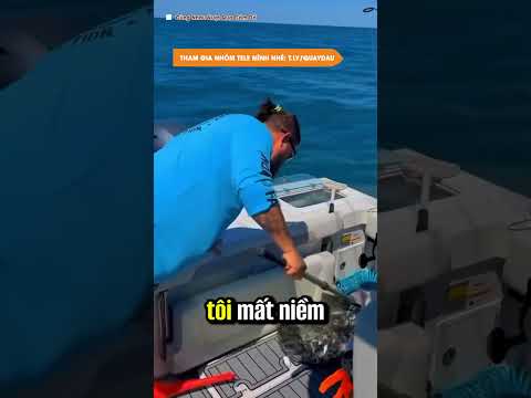 Thắng 8 lại muốn tròn 10, và cái kết. #xuhuong #trietlycuocsong #baihoccuocsong #learnontiktok