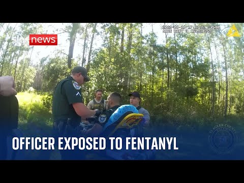 US: Police officer exposed to fentanyl during hit-and-run drugs test
