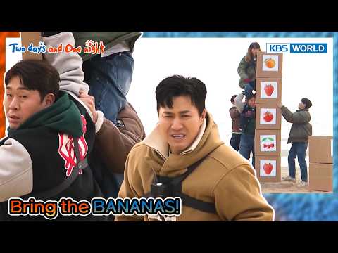 Tanghulu Box Stacking🍇🍈🍉 [2 Days & 1 Night S4 Ep316-6] | KBS WORLD TV 260315