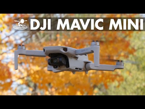 Is the New Mavic Mini Right For You?! Under 250grams //  Flite Test Tech Review - UCrTpude4ov3gWwSZQnByxLQ
