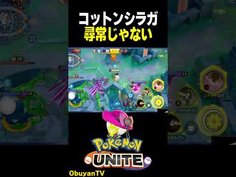 ワタシラガのコットンガード戦略と世界大会での注目ポイント サムネイル
