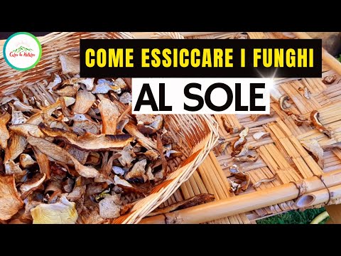 Come Essiccare I FUNGHI AL SOLE