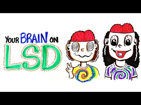 Your Brain on LSD and Acid - UCC552Sd-3nyi_tk2BudLUzA