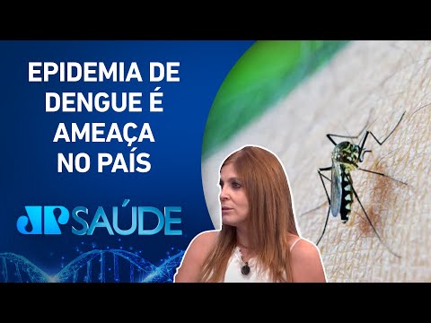 Aedes aegypti: Brasil enfrenta desafios com doenças transmitidas pelo mosquito há décadas | JP SAÚDE