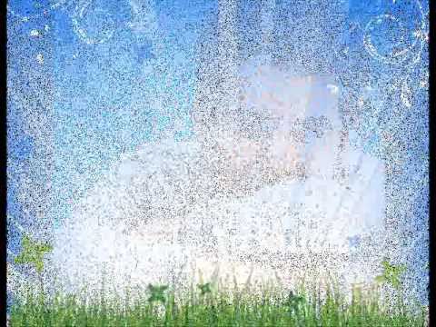 David Archuleta - My Kind of Perfect  w/ lyrics on screen