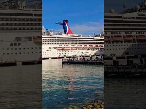 😲#Cruise #Ship in #Reverse