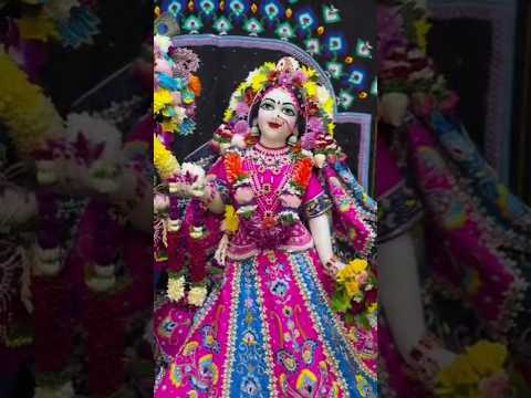 koi Jaye Jo Vrindavan 🥀🙏🏼#radhakrishna #radheradhe #radheshyam #shortsfeed #treandingshort