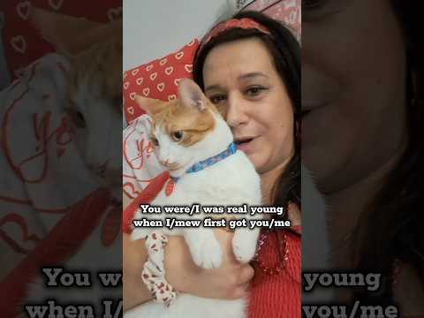 #Furday #cat🐈 #parody😹 A #LoveStory❤️ duo for #ValentinesDay❤️ #subscribe #cutecatvideos😻📹 #manifest
