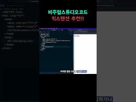 (2025)비주얼 스튜디오 코드 익스텐션 추천!