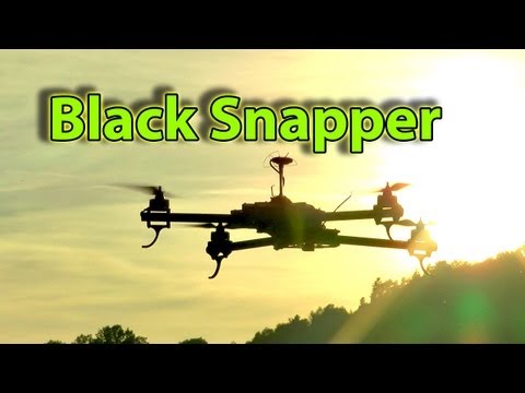 BLACK SNAPPER von Globe-Flight - Test NazaV2, Brushless Gimbal (Alex Mos) und DJI iOSD mini - UCIIDxEbGpew-s46tIxk5T3g