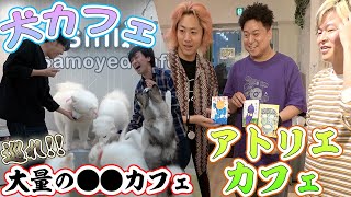 動画サムネイル