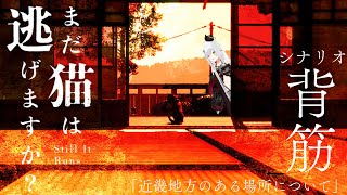 【 #まだ猫は逃げますか？ 】猫視点ホラゲー！？27日発売の新作をクリアまでやるぞ！【 #新人vtuber 】