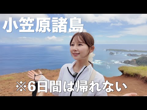 縮圖