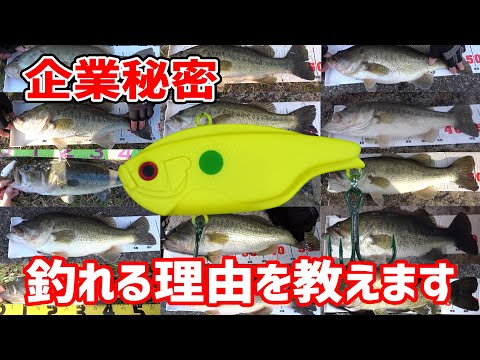 秘密にしていた、モガミバイブが釣れる理由を教えます。バス釣り、バイブレーションルアー