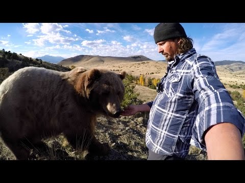 GoPro: Man and Grizzly Bear - A Unique Relationship - UCqhnX4jA0A5paNd1v-zEysw